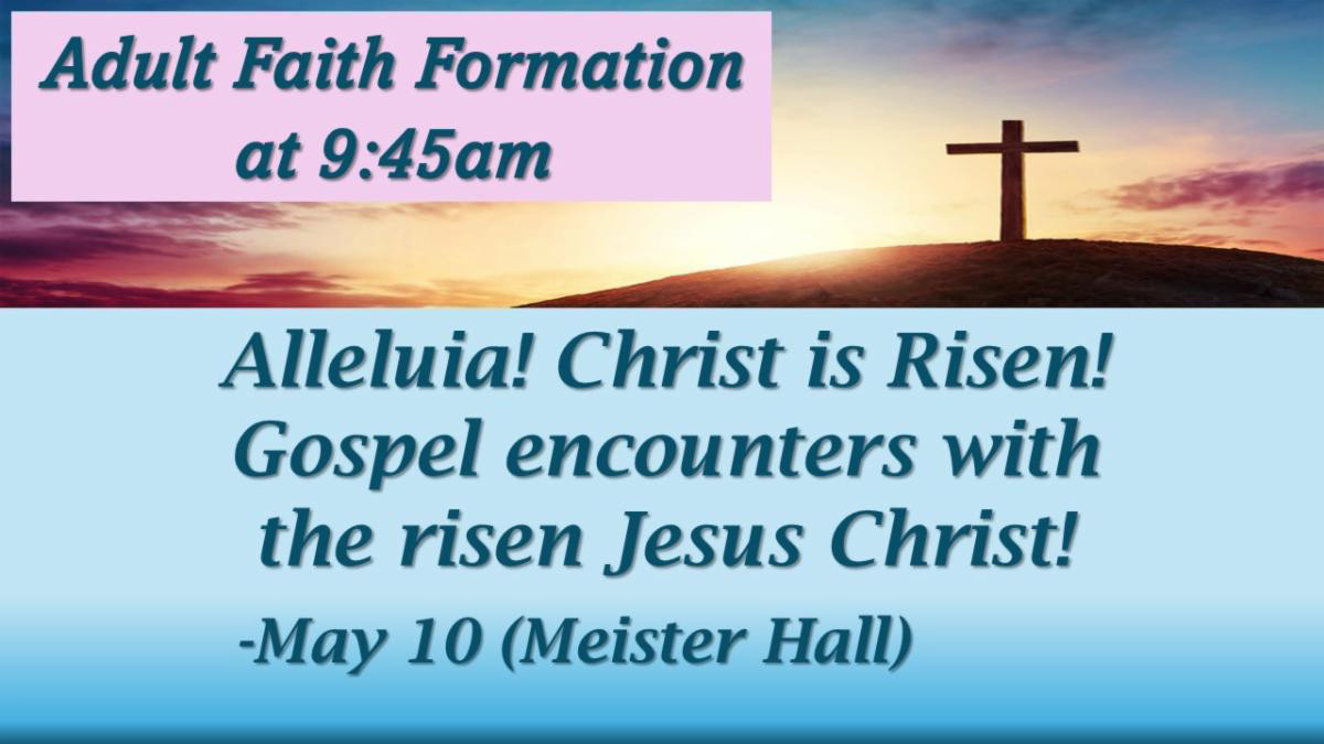 Adult Faith Formation 9:45 AM Sunday